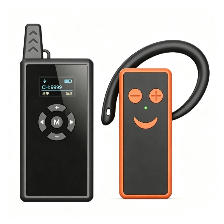 Many-to-Many Museum Tour Guide System
