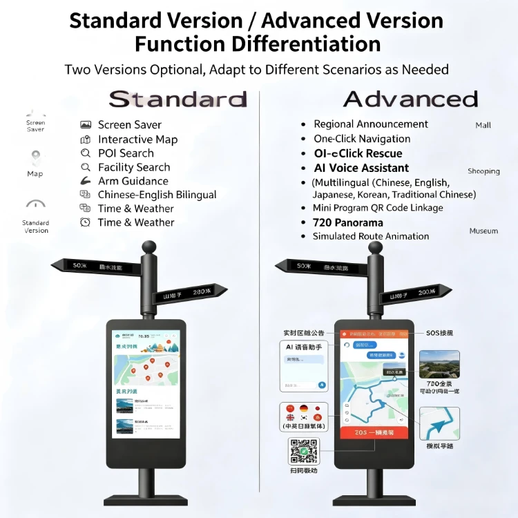 standard version and advanced version standard version and advanced version